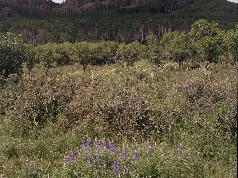 Colorado Western Slope